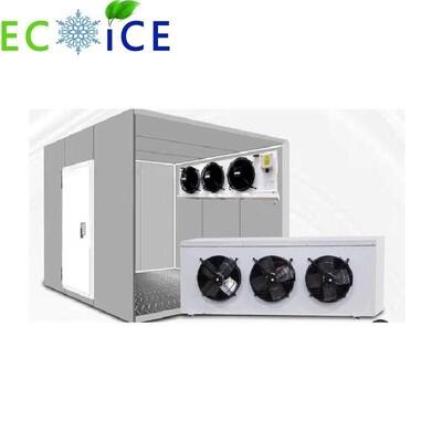 Cold Storage Room Freezing Room Cold Room Cooling and Freezing Room Fruit and Vegetable Freezing Room