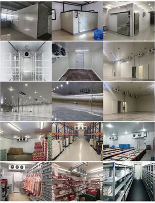 Fruit Cold Room Meat Cold Storage Room Cold Room Vegetable Cold Storage Room Industrial Freezer