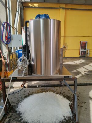 Ecoice 3Ton/Day Stainless Steel Best Commercial Flake Ice Making Machine for Seafood & Fishery