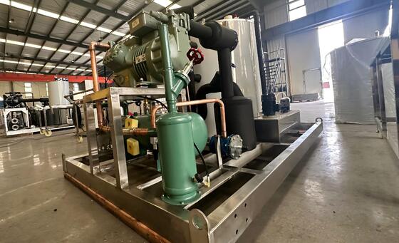 Ecoice 10 ton High reliable Long Service Life industrial Flake Ice Machine Ice Plant for  Fishery Industry Seafood