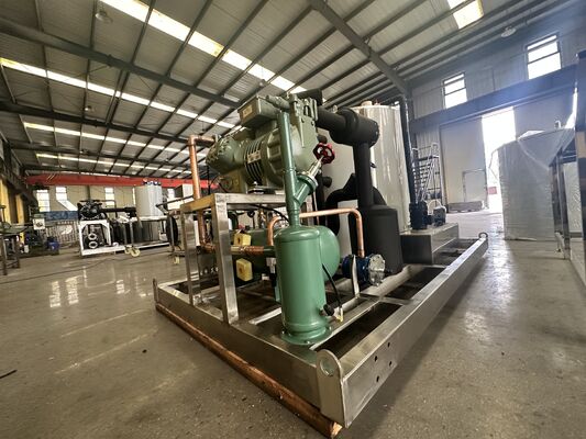 Ecoice Hot Sale 10 Tons Air/Water CoolingFlake Ice Machine Snowflake Ice Machine Made of Stainless Steel 304