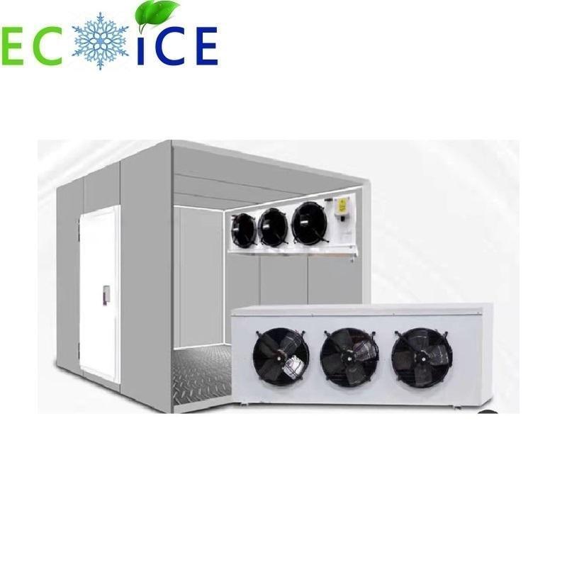Cold Storage Room Freezing Room Cold Room Fruit and Vegetable Cold Storage Room Industrial Freezer Room