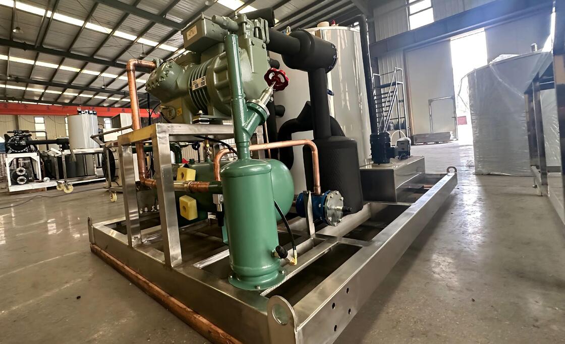 Ecoice Hot Sale 10 Tons Air/Water CoolingFlake Ice Machine Snowflake Ice Machine Made of Stainless Steel 304